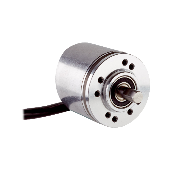 DBS36E-S3EK01000 1060544